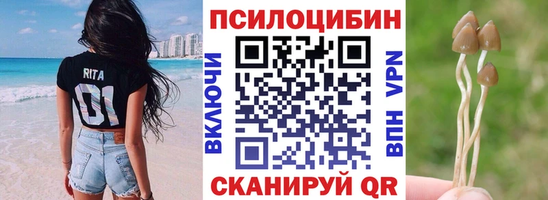 купить  цена  Кизел  это какой сайт  Галлюциногенные грибы MAGIC MUSHROOMS 